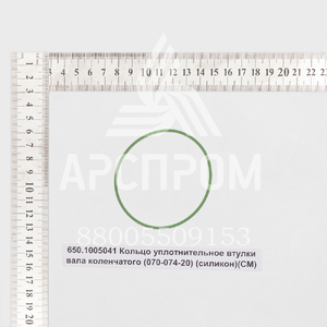 650.1005041 Кольцо уплотнительное втулки вала коленчатого (070-074-20)(силикон)(СМ)